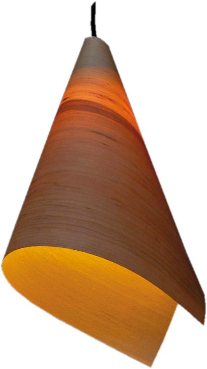 Lampyridae - Ash wood lamp