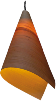 Lampyridae - Ash wood lamp