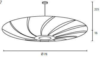 Passion 4 Wood - Lotus.jpg